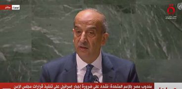 مندوب مصر أمام الجمعية العامة للأمم المتحدة
