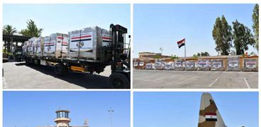 جانب من المساعدات المصرية لجيبوتي