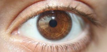 ماهي قاعدة «20»؟ .. ينصح بها الخبراء لحماية العين من الأمراض والالتهاب