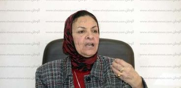 الدكتورة يمن الحماقى، عضو لجنة الاستثمار باتحاد الصناعات وأستاذ الاقتصاد بجامعة عين شمس