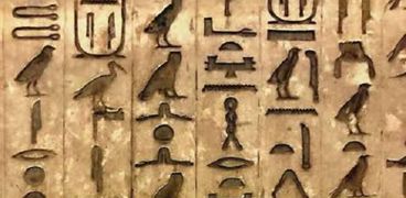 اللغة المصرية