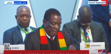 رئيس زيمبابوي إيمرسون منانغاغوا