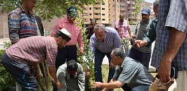 محافظ الجيزة يشارك في حملة المليون شجرة