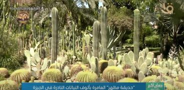 حديقة الفنان أحمد مظهر بالجيزة