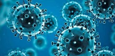 فيروس بيرولا الجديد - أرشيفية
