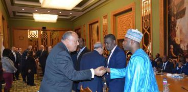 وزير الخارجية يلتقي السفراء الأفارقة اليوم