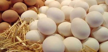 استقرار أسعار البيض في المزرعة اليوم