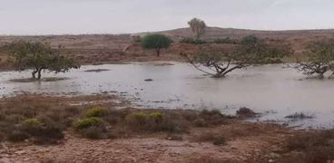 أمطار غزيرة في سيدي براني غرب مطروح