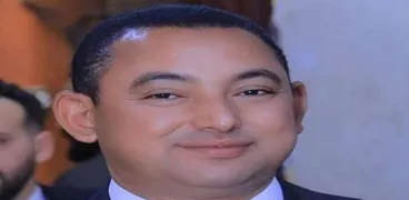 النائب الدكتور ناصر عثمان، أمين سر اللجنة التشريعية بمجلس النواب،