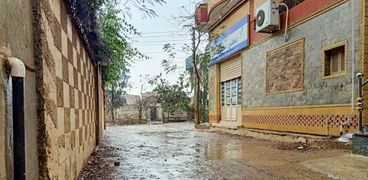 أمطار كفر الشيخ أرشيفية