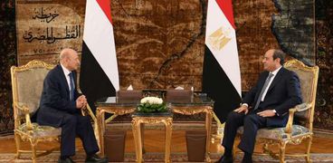 السيسي يستقبل رئيس مجلس القيادة الرئاسي بالجمهورية اليمنية