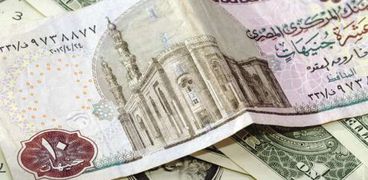 ارتفاع سعر صرف الدولار أمام العملة المصرية يضر بالاقتصاد