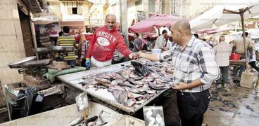 مواطنون يقبلون على شراء السمك الطازج