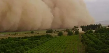 عاصفة ترابية فوق مزرعة