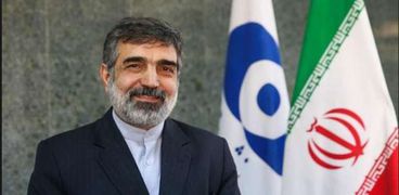 المتحدث باسم وكالة الطاقة الذرية الإيرانية بهروز كمالوندي