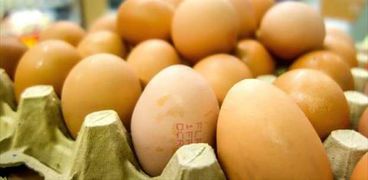 انخفاض طفيف في اسعار البيض