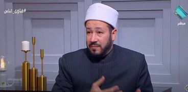 الدكتور محمد عبدالسميع- أمين الفتوى بدار الإفتاء