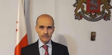 سفير جورجيا بالقاهرة ألكسندر نالبندوف فى تصريحات ل"الوطن"