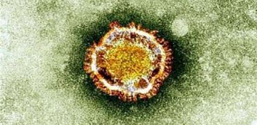 مخاوف من انتشار فيروس نيباه