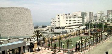 كلية التجارة جامعة الإسكندرية