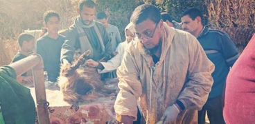 "بحوث التناسليات" تنفذ 6 قوافل علاجية بيطرية بالمجان في عدد من قرى سوهاج
