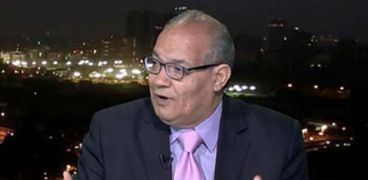 الدكتور سعيد اللاوندى، الخبير فى الشئون الدولية بمركز «الأهرام» للدراسات السياسية والاستراتيجية