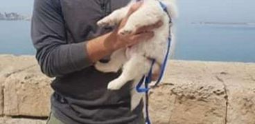 طالب يودع كلبه بعد وفاته في مشهد مؤثر