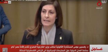 ممثلة جمهورية مصر العربية أمام محكمة العدل الدولية