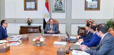 السيسى يجتمع مع رئيس مجلس الوزراء ووزير المالية