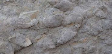 آثار أقدام ديناصورات