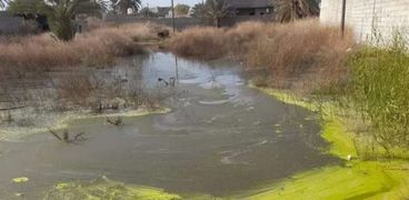 منسوب المياه الجوفية بمدينة زليتن الليبية