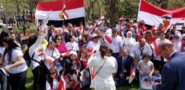 المصريون في الخارج يحتفون بالتعديلات الدستورية