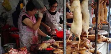  حدث سنوي لمدة 10 أيام حيث يتم تناول أكثر من 10000 كلب بالصين