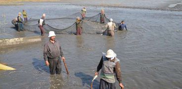 مصر تحتل المركز السابع عالميا في الاستزراع السمكي