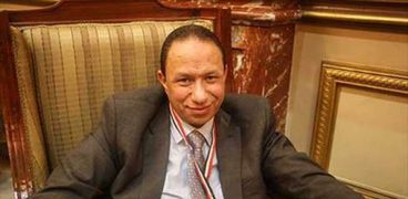 الدكتور عبد الحميد الشيخ، عضو لجنة الصحة بمجلس النواب