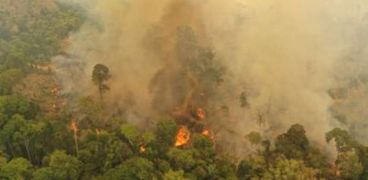 أندونيسيا تعلن حالة الطوارئ بسبب حرائق الغابات