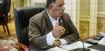 النائب محمد وهب الله ، عضو الهيئة البرلمانية لحزب المحافظين
