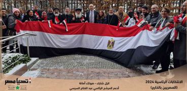 تصويت المصريين في ألمانيا