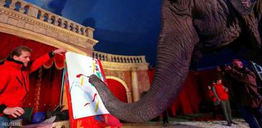 سيرك مجري متجول يبيع لوحات صنعتها أنثى فيل هندية