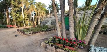 حديقة «الزهرية» في جزيرة الزمالك