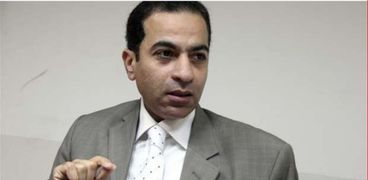 الدكتور هشام إبراهيم- أستاذ التمويل والاستثمار بجامعة القاهرة