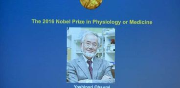 العالم الياباني يوشينوري أوسومي يحصد نوبل الطب لعام 2016