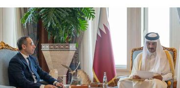 أمير قطر يتسلم رسالة الرئيس السيسي من السفير المصري