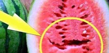 كيفية معرفة البطيخ المسرطن