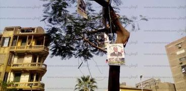 نشر لافتات الدعاية الخاصة بالمرشحين على الأشجار