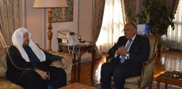 شكري يؤكد لرئيس "الشورى السعودي" دعم مصر لإجراءات ضمان أمن المملكة