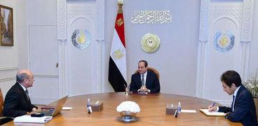 الرئيس السيسي خلال اجتماعه مع وزير العدل