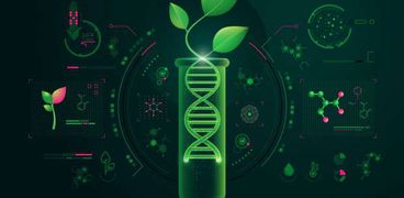 التعديل الجيني للنبات