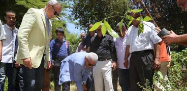 حملة زراعة المليون شجرة مثمرة وزراعة 3000 شجرة مثمرة من المانجو والرمان