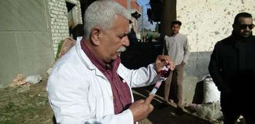 "الطب البيطري" بالإسكندرية تطلق قوافل مجانية لعلاج 450 حيوان